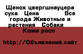 Щенок цвергшнауцера сука › Цена ­ 25 000 - Все города Животные и растения » Собаки   . Коми респ.